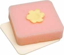 WILTON FLOWER FORMING FOAM SET 1907-9704