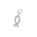 Sterling Silver Charm Fish-Christian Or Pisces