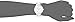Anne Klein Women's AK/1413WTSV Watch