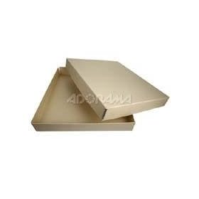 Adorama Archival 20 x 24 Print Storage Box, Drop Front Design, 20 1/2 x 24 1/2 x 3