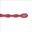 Poly Coated Anchor Chain Red
