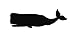 8x10 Whale Sperm Whale Stencil Made From 4 Ply Matboard
