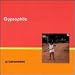 Gypsophile-Ununeelmi Gypsophile