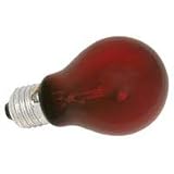 Zoo Med Nightlight Red Reptile Bulb 100 Watt