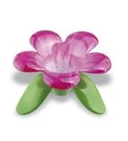 koziol AUDREY ティーストレーナーWH/PK KZ3231-591