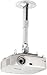 Electronics : Peerless PARAMOUNT Ceiling/Wall Projector Mount with Adjustable Extension PPA-W - Mounting kit ( extension column, ceiling plate, mounting adapter, horizontal adjuster ) for projector ( Tilt & Swivel ) - cold-rolled steel - white