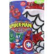 Hanes Spiderman and Friends 3-pk. Briefs