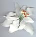 Gourmet Food : White Gum paste Poinsettia