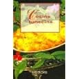 Cocina Tunecina