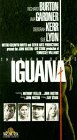 Night of the Iguana by MGM (Warner)