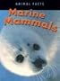 Marine Mammals (Animals Facts)