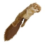 Road Kill Squirrel Dog Toy, Brown