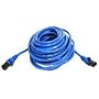 Belkin 25ft Cat6 Patch Snagless Blue