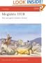 Megiddo 1918: The Last Great Cavalry Victory (Campaign)