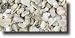 Carib Sea Arag - Alive Saltwater Florida Crushed Coral 20 lb