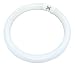 27 watt 120 volt T6 6,500K Circline Compact Fluorescent Replacement TCP Light Bulb