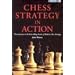 Chess Strategy in Action