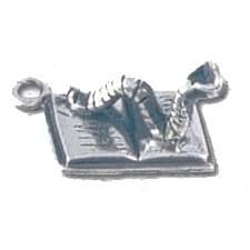 Solid Sterling Silver Book Worm Charm by Charms