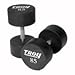 5-125 lb. Set Troy Urethane Coated Solid Steel Dumbbells