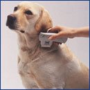 Electronic Flea Comb Kills Fleas Without Chemicals. Epilady A-viva Beauty