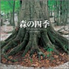 『森の四季    Yama-Kei Calendar 2005年 カレンダー』の写真