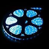 5 foot section of blue 12 volt 1/2 inch led rope light