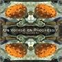 Un Voyage En Progressif - Volume 8