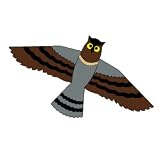 Owl Kite
