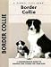 Border Collie (Kennel Club)