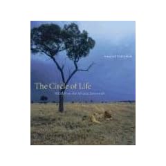 The Circle of life: Wildlife on the African Savannah