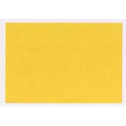 Gamblin Artist Oil Color Hansa Yellow Medium 8 oz can