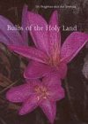 Bulbs of the Holy Land