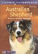 Australian Shepherd. Charakter, Erziehung, Gesundheit