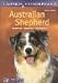 Australian Shepherd