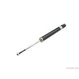 Bilstein Shock Absorber by Bilstein