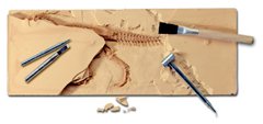21NV45JRZRL Educational Insights GeoSafari T Rex Xcavations