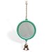 Pet Supplies : Avian Select Polly Pals Two-Sided Mirror with Bell Bird Toy
