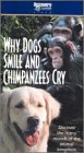  : Why Dogs Smile and Chimpanzees Cry