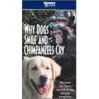 Why Dogs Smile and Chimpanzees Cry [VHS]