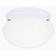 Westinghouse Light A 66699 Ceiling Fixture