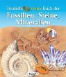 Produkt-Bild: Tessloffs erstes Buch der Fossilien, Steine und Mineralien