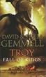 Troy: Fall of...