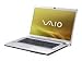 Sony Vaio VGN-FW54M 41,7 cm (16,4 Zoll) Notebook (Intel Pentium P7450 2.1GHz, 4GB RAM, 500GB HDD, ATI HD46650, Blu-ray, Win 7 HP)