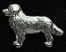 Pewter Bernese Mountain Dog Pin