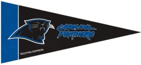 Carolina Panthers NFL Mini Pennants - 8 Piece Set