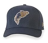Minor League Baseball Cap - Tri-City Dust Devils Batting Practice Cap by New Er