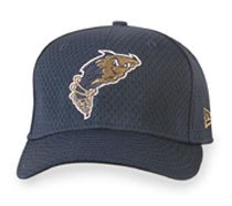 Minor League Baseball Cap - Tri-City Dust Devils Batting Practice Cap by New Er