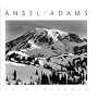 Ansel Adams 2010 Engagement Calendar