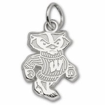 Wisconsin Badgers 1/2