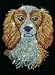 Sequin Art Spaniel
